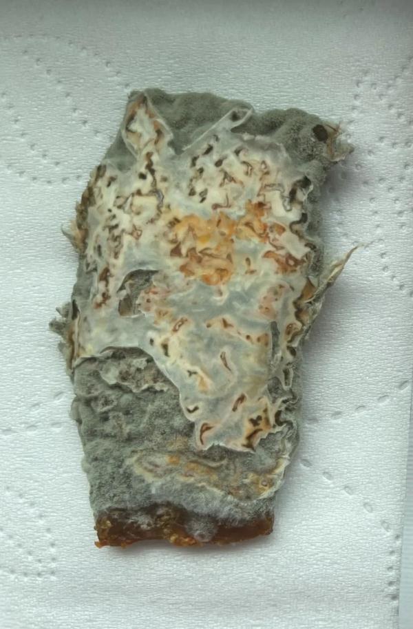 盐津铺子零食吃了几口发现长霉?客服这样回应 盐津铺子零食吃了几口发现长霉?客服这样回应