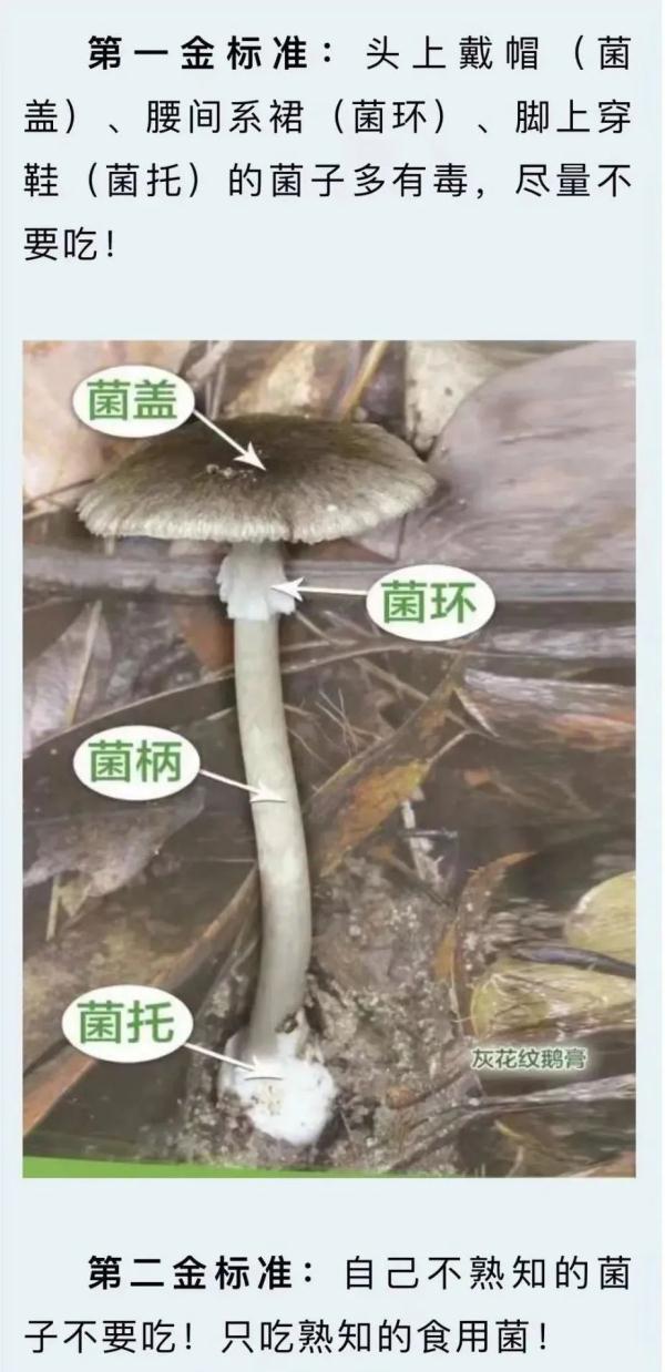 云南省疾控中心发布最新预警 云南省疾控中心发布最新预警