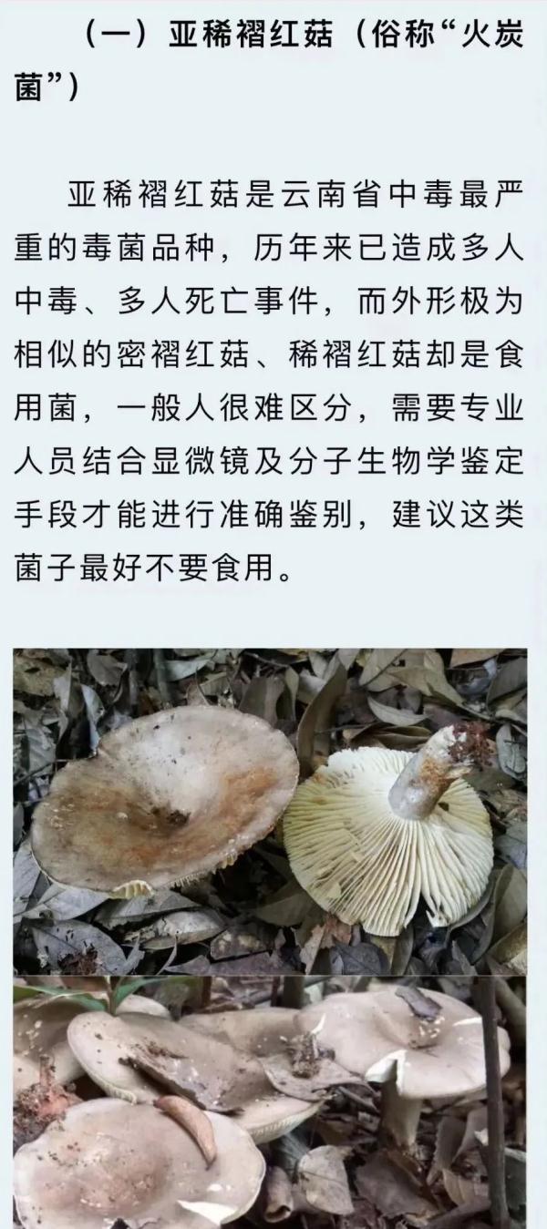 云南省疾控中心发布最新预警 云南省疾控中心发布最新预警