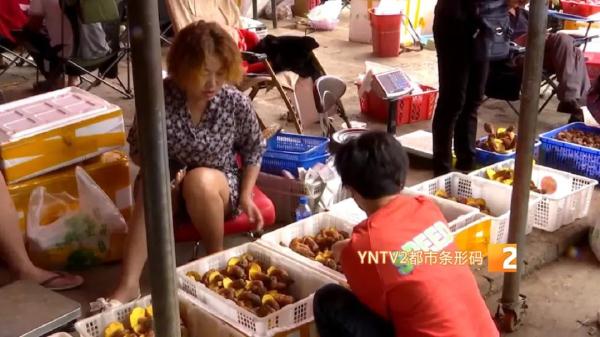 云南省疾控中心发布最新预警 云南省疾控中心发布最新预警