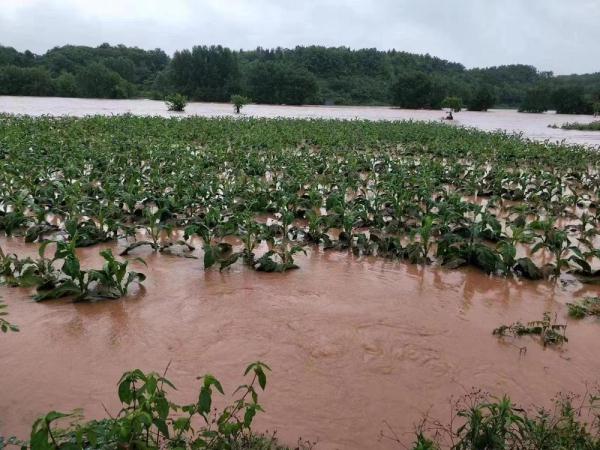暴雨导致湖南27万余人受灾
