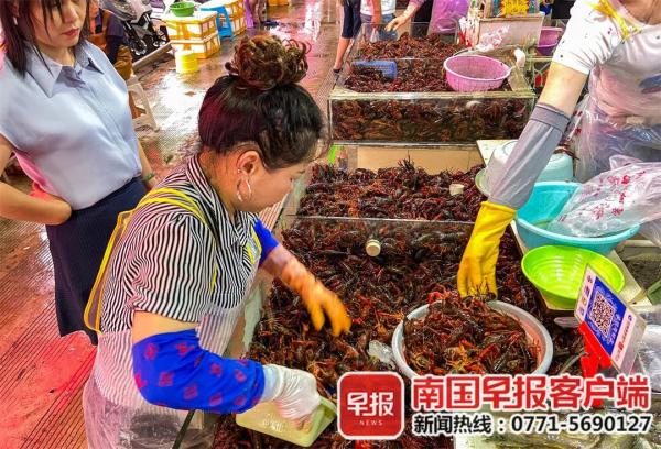 1元/斤！南宁西瓜价格“大跳水”！网红雪糕却让人直呼“吃不起”