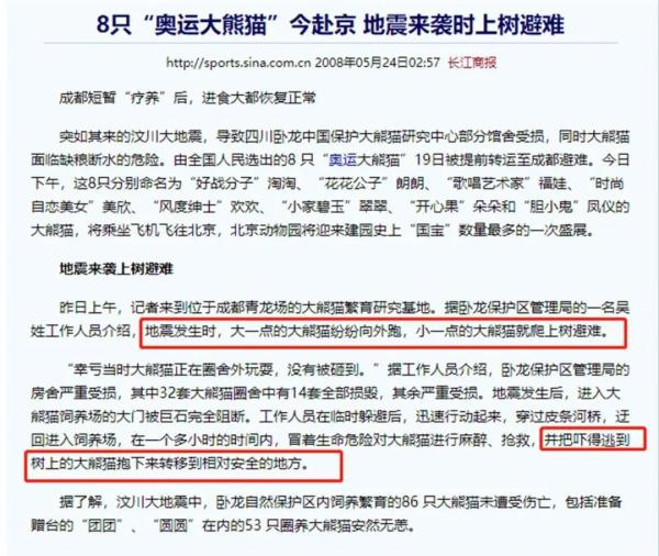 四川27只大熊猫爬上同一棵树躲地震?P得太明显 四川27只大熊猫爬上同一棵树躲地震?P得太明显