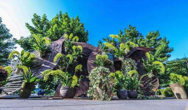 端午小长假,虽刚刚复工,但沪上这些公园已约满 端午小长假,虽刚刚复工,但沪上这些公园已约满