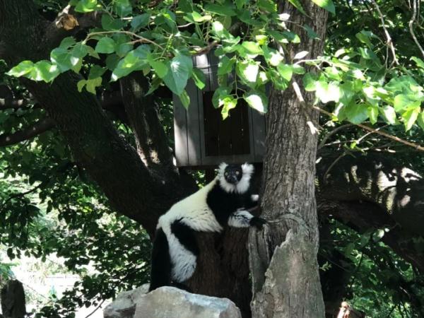 端午小长假,虽刚刚复工,但沪上这些公园已约满 端午小长假,虽刚刚复工,但沪上这些公园已约满