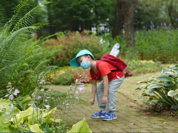 端午小长假,虽刚刚复工,但沪上这些公园已约满 端午小长假,虽刚刚复工,但沪上这些公园已约满