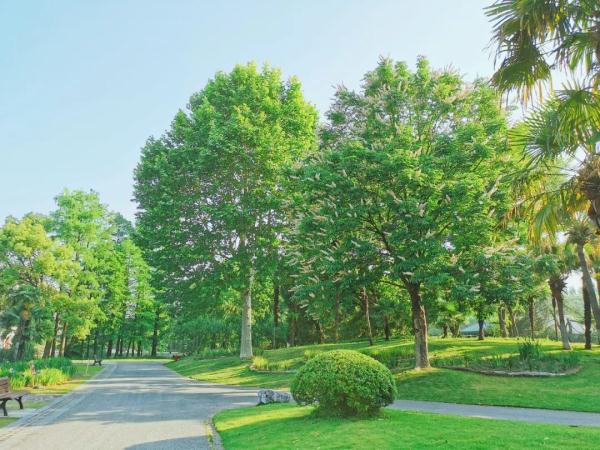 端午小长假,虽刚刚复工,但沪上这些公园已约满 端午小长假,虽刚刚复工,但沪上这些公园已约满