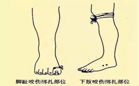 紧急提醒！近段时间已发生多起！