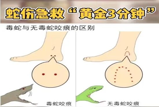 紧急提醒！近段时间已发生多起！