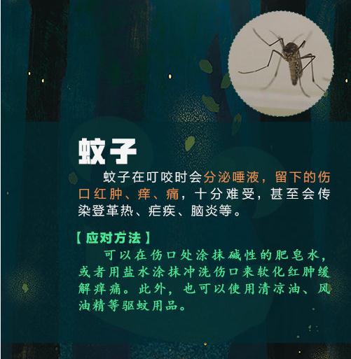 警惕！这种虫子可能致命，已有3人死亡！