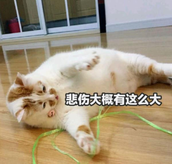 连吃70天泡面+可乐!上海帅哥体重飙升37斤!疫情中你胖了吗? 连吃70天泡面+可乐!上海帅哥体重飙升37斤!疫情中你胖了吗?