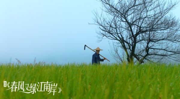 电视剧春风又绿江南岸看基层干部百味人生如一面明镜映照现实