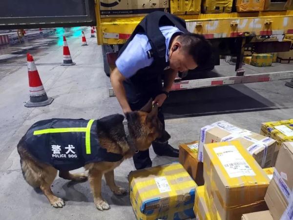 独立发现毒品超15公斤,搜出地雷3颗……这群"孤勇者"在边境一线守护着