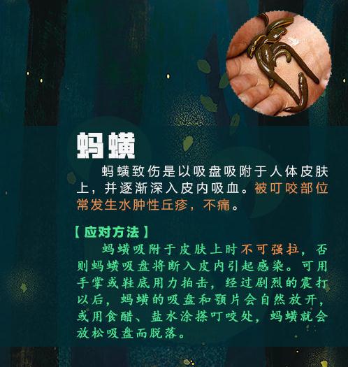 警惕！这种虫子可能致命，已有3人死亡！