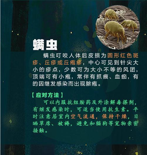 警惕！这种虫子可能致命，已有3人死亡！