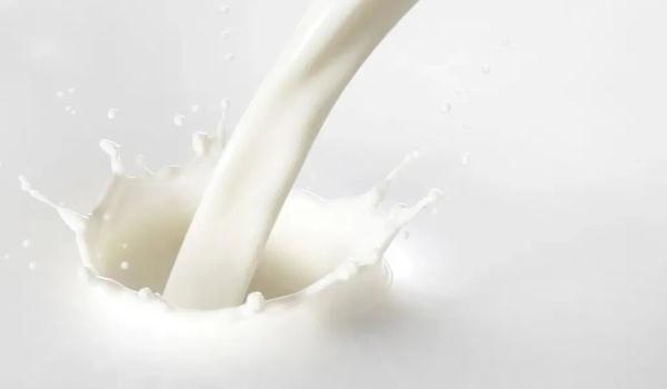 牛奶vs豆浆,哪个营养更好?不同人群对号入座~ 牛奶vs豆浆,哪个营养更好?不同人群对号入座~