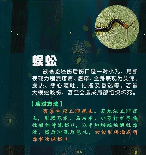 警惕！这种虫子可能致命，已有3人死亡！