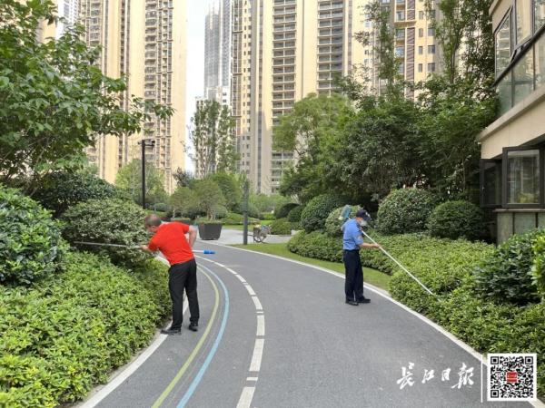 警惕！武汉多家小区有蛇出没，专家紧急提醒