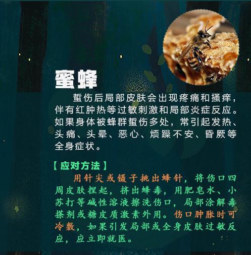 警惕！这种虫子可能致命，已有3人死亡！