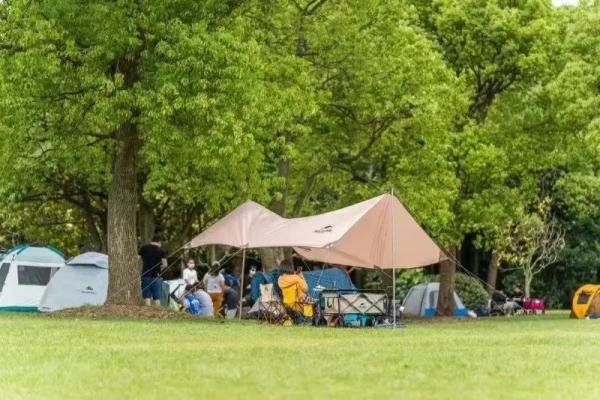 复工后首个小长假,上海公园成“顶流”,多个热门街区实行客流管控! 复工后首个小长假,上海公园成“顶流”,多个热门街区实行客流管控!