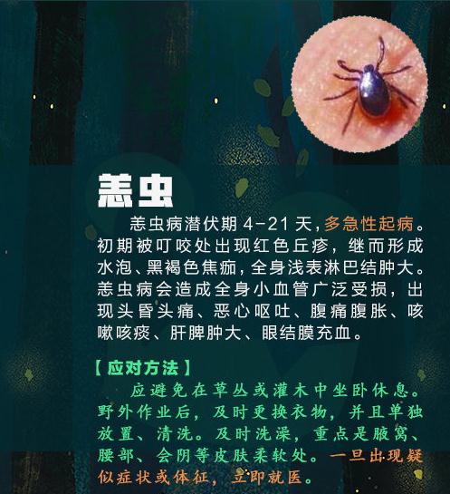 警惕！这种虫子可能致命，已有3人死亡！