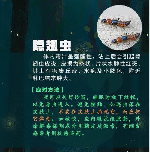 警惕！这种虫子可能致命，已有3人死亡！