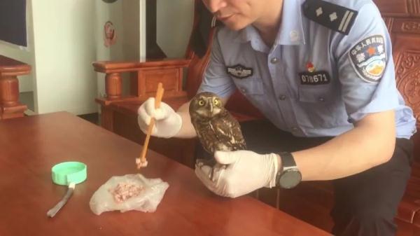 端午节当天，派出所来了一位“小可爱”！