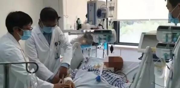 警惕！这种虫子可能致命，已有3人死亡！