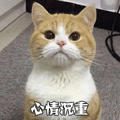 义乌一司机因一个动作，损失近万元...