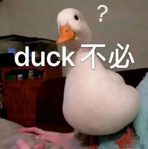 “隔夜西瓜”一口8400个细菌、菌落总数达42000?还能愉快地吃瓜吗? “隔夜西瓜”一口8400个细菌、菌落总数达42000?还能愉快地吃瓜吗?