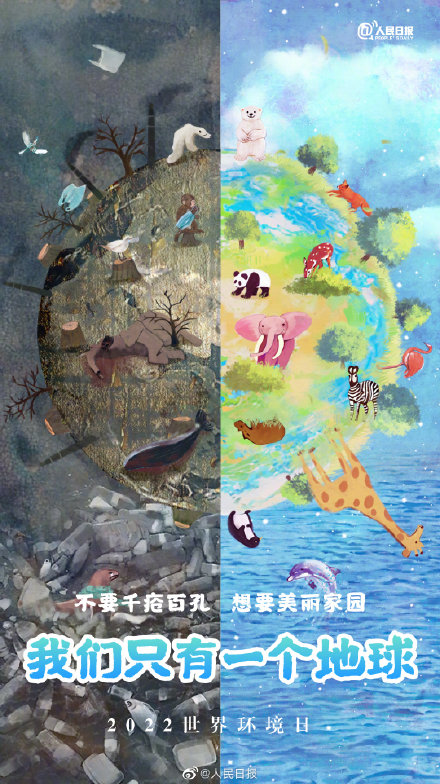 今天,传递世界环境日主题海报,守护地球的颜色 今天,传递世界环境日主题海报,守护地球的颜色