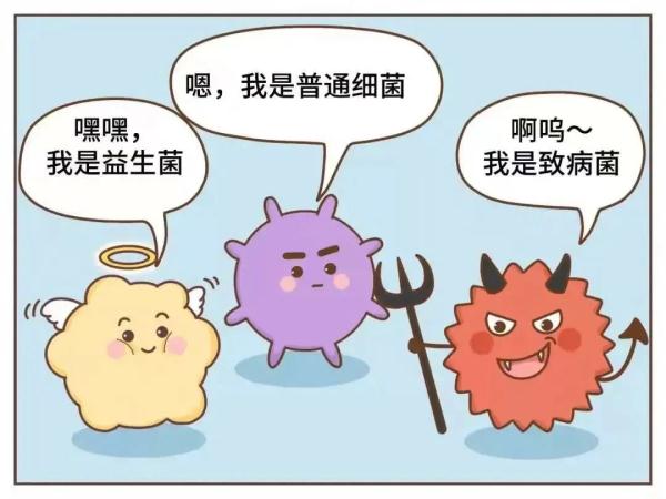 “隔夜西瓜”一口8400个细菌、菌落总数达42000?还能愉快地吃瓜吗? “隔夜西瓜”一口8400个细菌、菌落总数达42000?还能愉快地吃瓜吗?