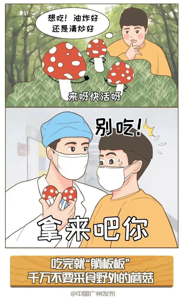 无解药！这几种“毒菇”广州最常见，千万别拿来炒菜