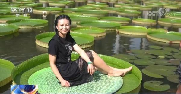 端午旅游市场回暖 多地推出优惠政策促进市场恢复 端午旅游市场回暖 多地推出优惠政策促进市场恢复