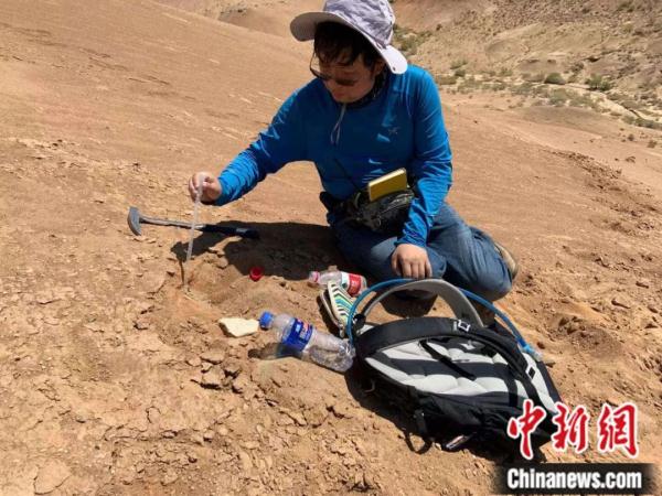 长颈鹿长颈鹿，你的脖子怎么那么长？