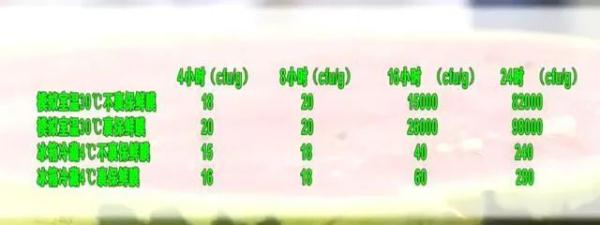 “隔夜西瓜”一口8400个细菌、菌落总数达42000?还能愉快地吃瓜吗? “隔夜西瓜”一口8400个细菌、菌落总数达42000?还能愉快地吃瓜吗?