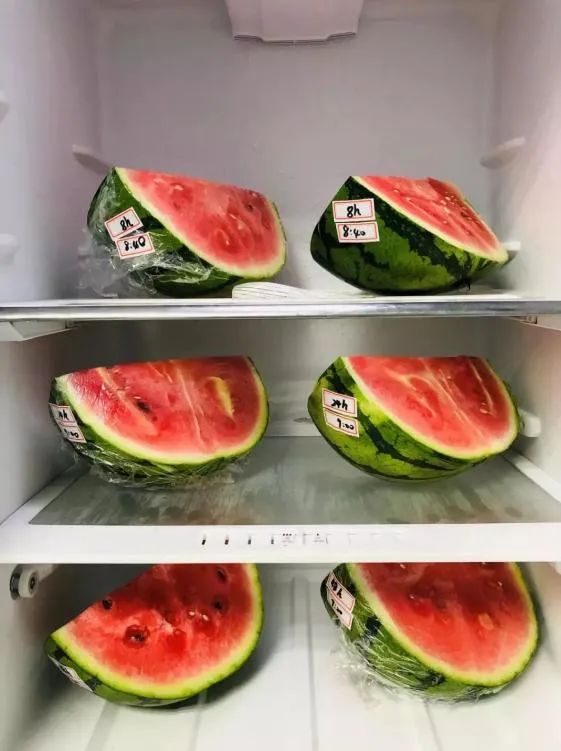 “隔夜西瓜”一口8400个细菌、菌落总数达42000?还能愉快地吃瓜吗? “隔夜西瓜”一口8400个细菌、菌落总数达42000?还能愉快地吃瓜吗?