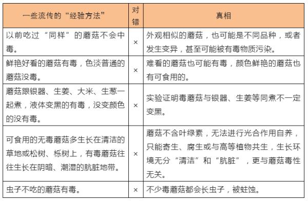 无解药！这几种“毒菇”广州最常见，千万别拿来炒菜