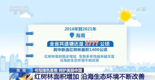 书写绿色答卷 呵护美丽中国 | 海南红树林面积逐年增加 沿海生态环境不断改善