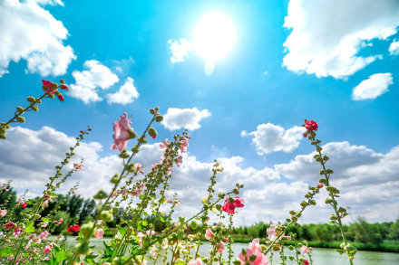 高原蓝天朗气清漫画天白云缱绻