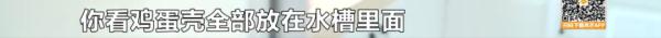 房子垃圾遍地、电线被剪、电器被泼水……长沙房东质疑租客“人设”与网络不符！