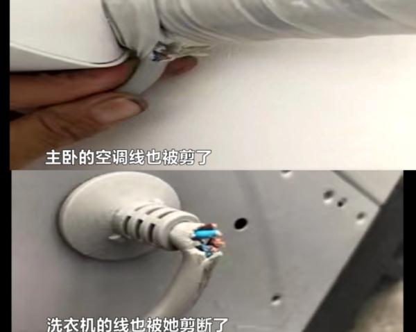 房子垃圾遍地、电线被剪、电器被泼水……长沙房东质疑租客“人设”与网络不符！