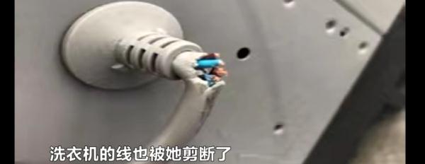 房子垃圾遍地、电线被剪、电器被泼水……长沙房东质疑租客“人设”与网络不符！