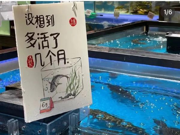 这家超市文案火了！网友：我今天就想去逛