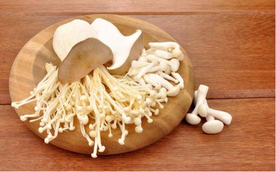 最新版!川渝野生毒蘑菇图鉴 最新版!川渝野生毒蘑菇图鉴