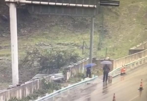高速上这样上下客，太“吓”人！12分根本不够扣......
