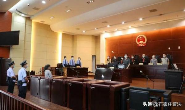 金线兰、“金毛狗”……这些国家保护野生植物,私自采摘犯法! 金线兰、“金毛狗”……这些国家保护野生植物,私自采摘犯法!