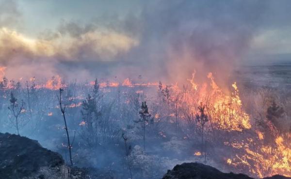 警惕！夏季和6月份有这些自然灾害风险