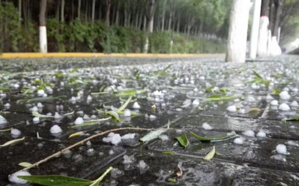 警惕！夏季和6月份有这些自然灾害风险