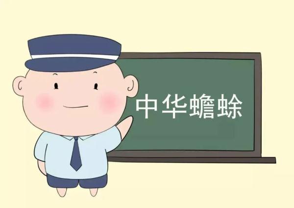 别拿“癞蛤蟆”不当保护动物！